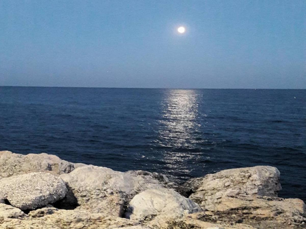 Mediterraneo Carihuela - توريمولينوس المظهر الخارجي الصورة